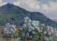 Carlo Montani : Terrace flowered