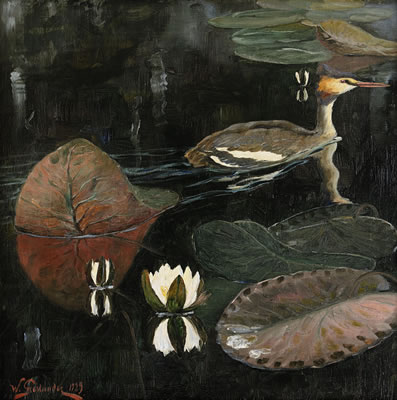 William Gislander : Grebe at flowering lilies