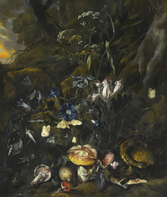 Otto Marseus Van Schrieck