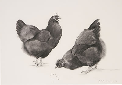 Jonathan Sainsbury : GOSSIP - HENS