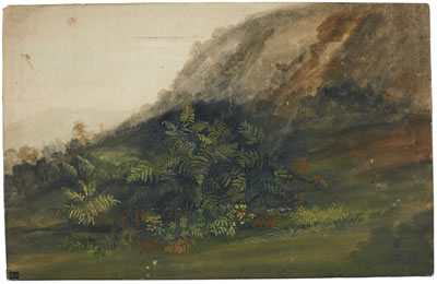 Jan Siberechts : A HILLY LANDSCAPE WITH FERNS IN THE FOREGROUND