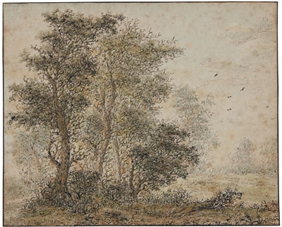 Adriaen Verboom : A FOREST SCENE