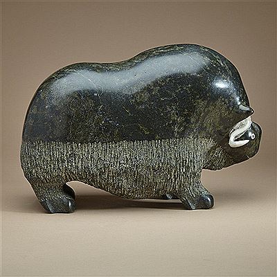 Seepee Ipeelie : MUSK OX