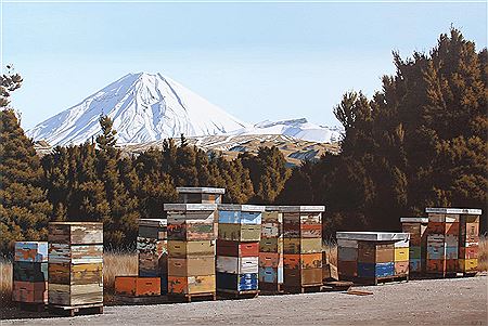 Michael Hight : Ngauruhoe