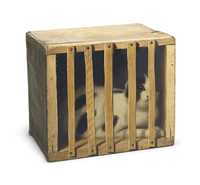 De Scott (David) Evans : Cat in a Crate