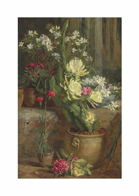 Annie Feray Mutrie : The flowering cactus