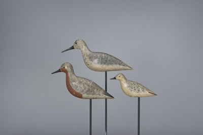 Chris Sprague : Shorebird Trio