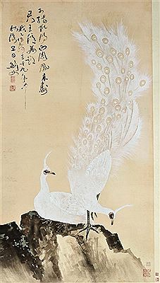 Jianfu Gao : THE PEACOCK