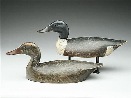 John R Wells : Pair of extremely rare of shovelers