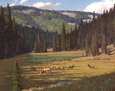 Tucker Smith : Packer Creek