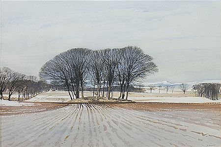 Donald Shannon : WINTER LANDSCAPE