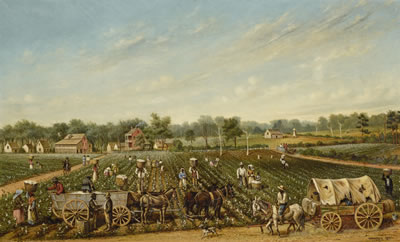 William Aiken Walker : THE COTTON PLANTATION