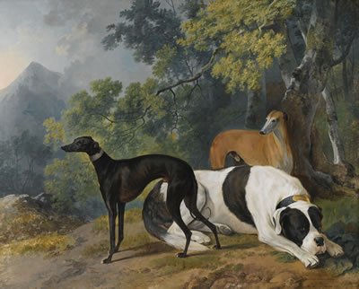 Sawrey Gilpin : TWO GREYHOUNDS AND A MASTIF BELONGING TO THE DUKE OF HAMILTON