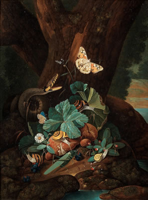 Karl Wilhelm de Hamilton : A forest floor still life with a snake, butterflies, snails and a grasshopper; and A forest floor still life with a lizard, butterflies and snails (2)