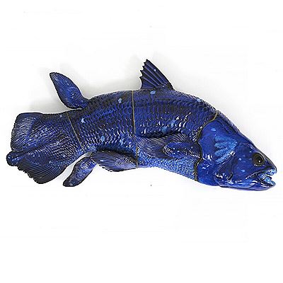 Jeanne Grut : “Blå fisk”/“Coelacanth”.