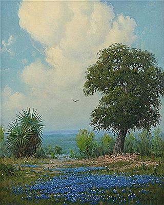 Cal Gaspard : Bluebonnets