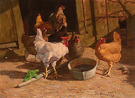 Walter Douglas : The Rooster's Call