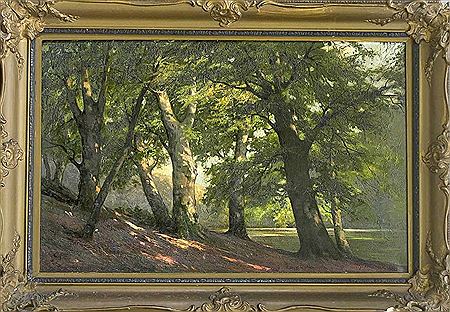 Georg Marschall : Large woodland with incident sunlight