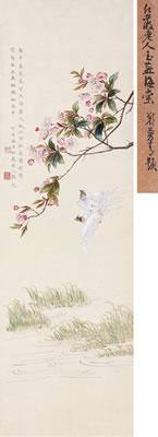 Guang Zhang : Chinese Flowering Crabapple