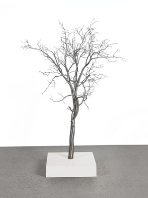 Roxy Paine