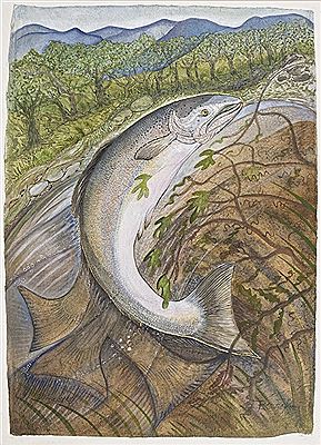 Pauline Bewick