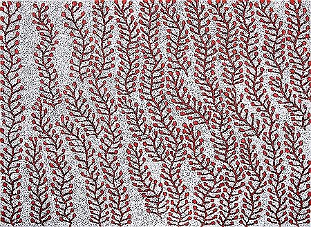 Mavis Jugadai Napaltjarri