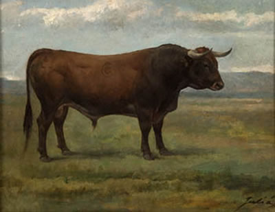 Luis Julia y Carrere : Toro