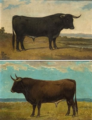 Luis Julia y Carrere : 'Pareja de toros bravos' (2)