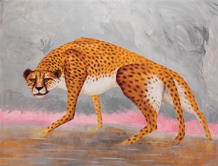 Alexandru Radvan : Cheetah