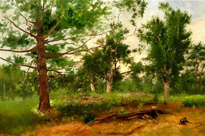 Charles Frederick Kimball : Pine Grove