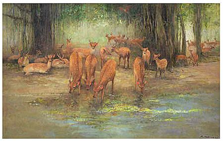 Choo Keng Kwang : Deers