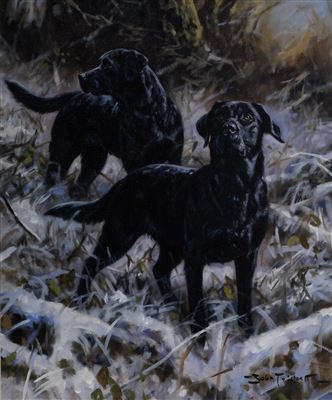 John Trickett : Black Labradors in the snow