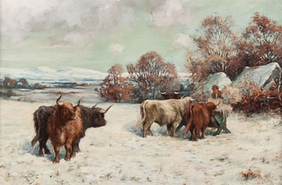 Tomson Laing : Highland cattle in snow Highland cattle in snow