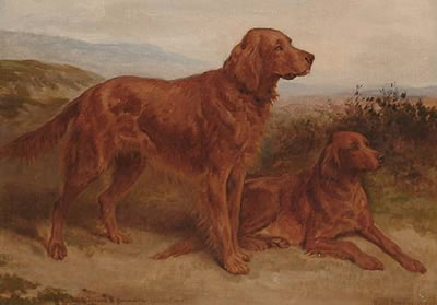 Basil Bradley : A portrait of two Red Setter - 'Tyrone & Geraldine'.