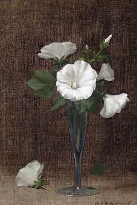 Alfred Frederick William Hayward : White flowers in a vase