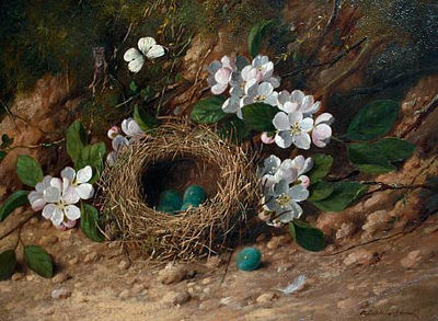 William Cruickshank : Still life of a bird's nest and flowers on a bank