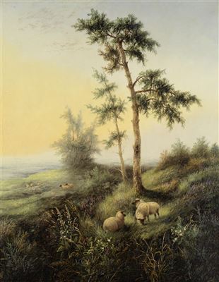 Edwin Masters : Sheep grazing (2)