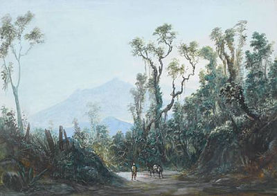 Friedrich Hagedorn : Brazilian landscape