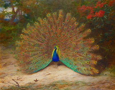 Archibald Thorburn