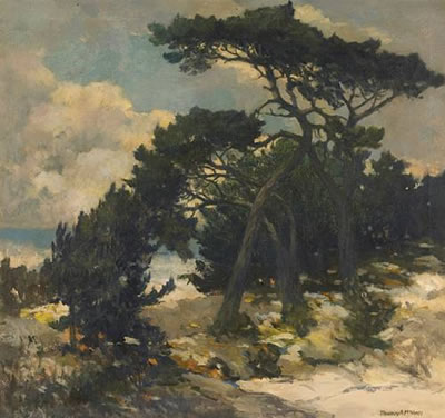 Thomas McGlynn : Cypress along the coast