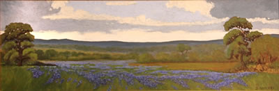 Jesse Rasberry : Texas bluebonnets