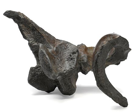 Jack Zajac : Ram Skull with Broken Horn IV, 1962