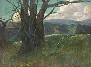 Maurice Del Mue : Trees on a Ridge Full of Wildflowers