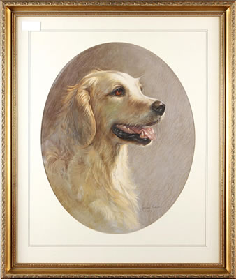 Spencer Roberts : Portrait of a golden retriever