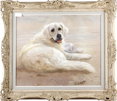 Spencer Roberts : 'Jenny', a golden retriever on a beach