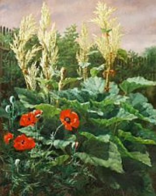 Antonore Christensen : Rhubarb and poppies