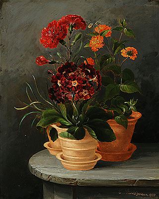 Christian Strodtmann : Flowers in pots.