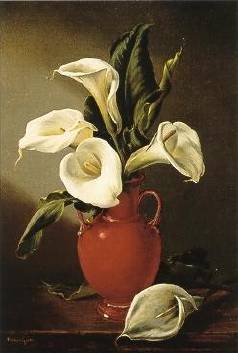 Juan Wandesforde : Lillies