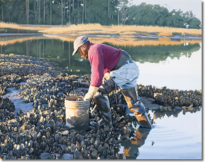 Michael Harrell : Lowcountry Oystering