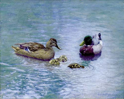 Walter Douglas : Ducks in a Pond